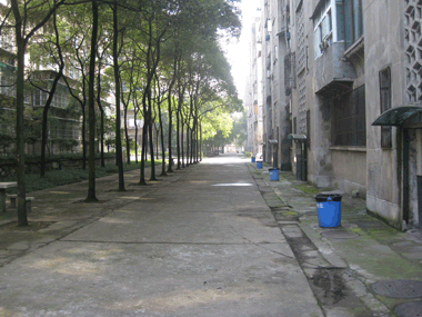 小區(qū)大道