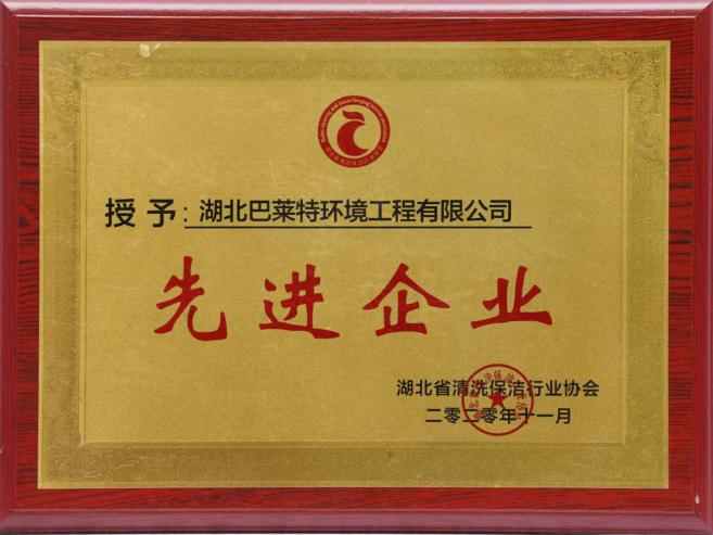 湖北省清洗保潔行業(yè)協(xié)會(huì)先進(jìn)企業(yè).png